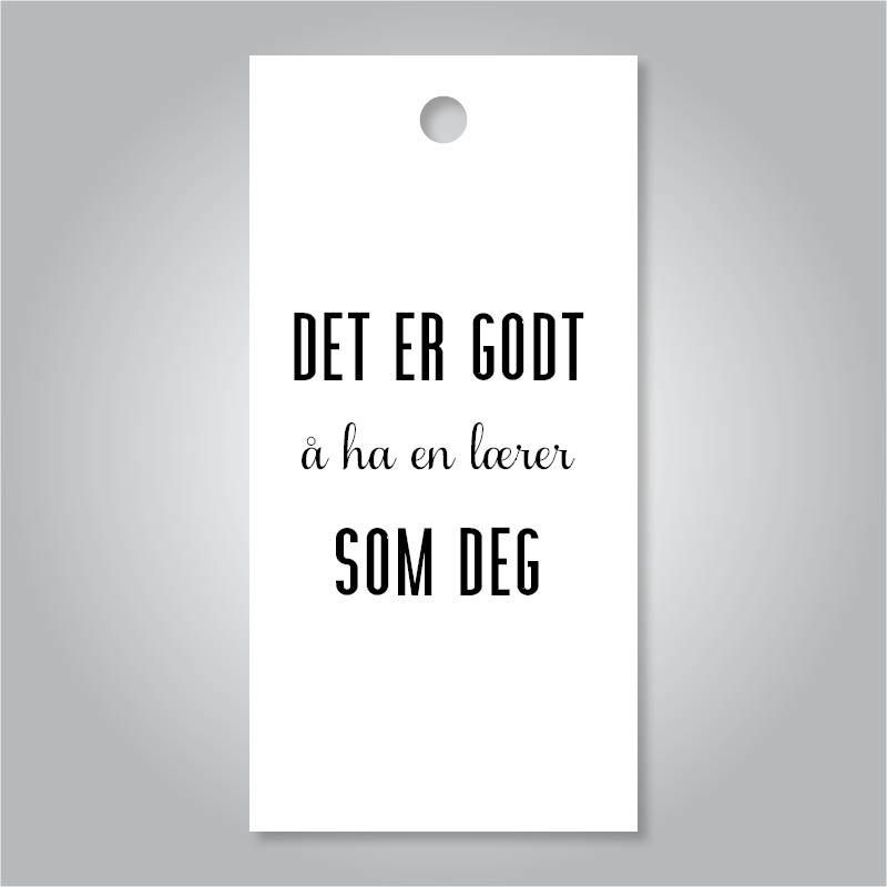 Det er godt å ha en lærer som deg 
